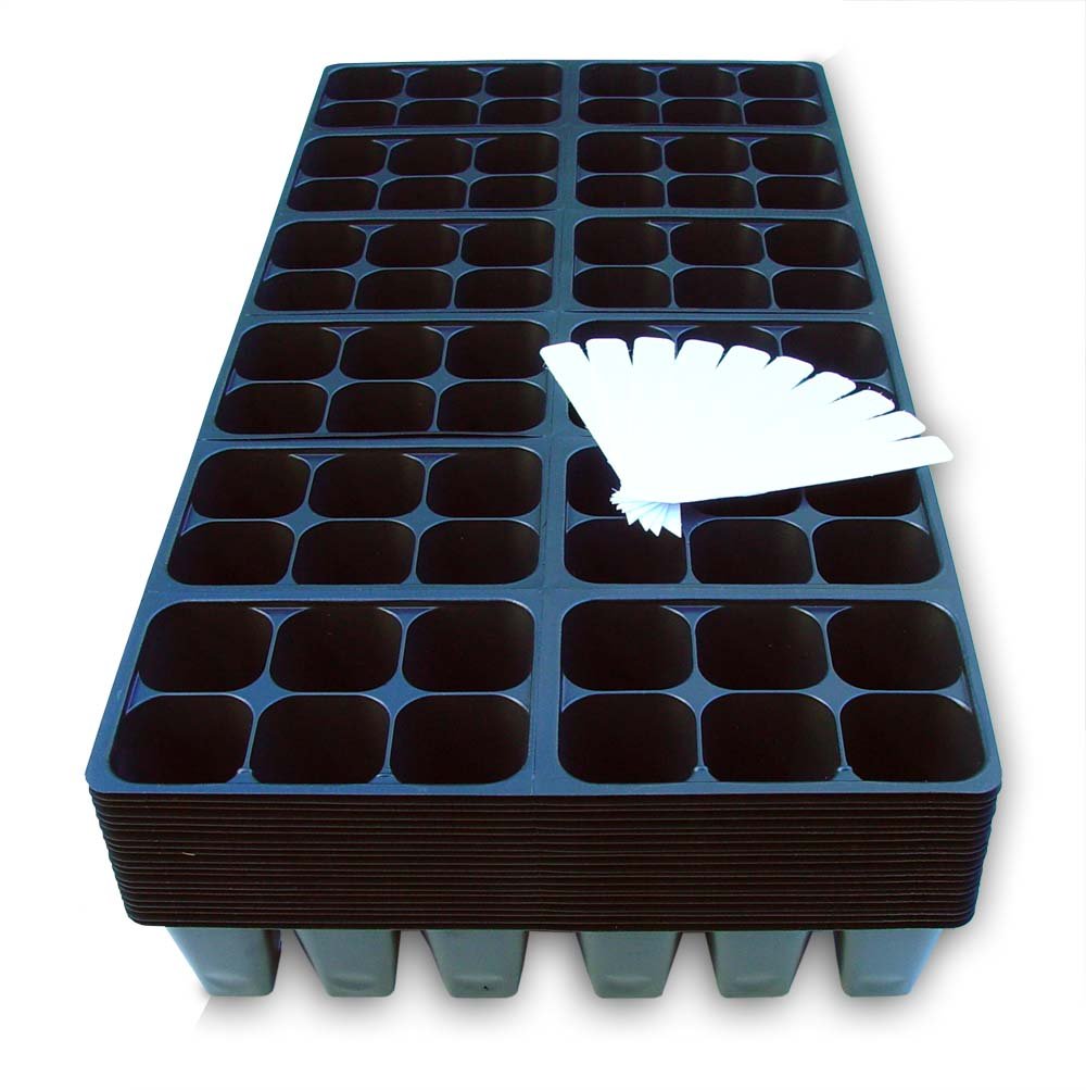 Coconut Oasis 1440-cell seedling trays, top view, organized germination and easy transplanting.