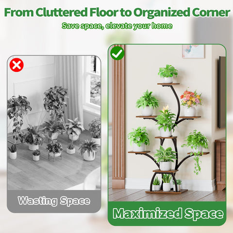 CODACE indoor plant display in living room showcases vibrant foliage and decorative arrangement.