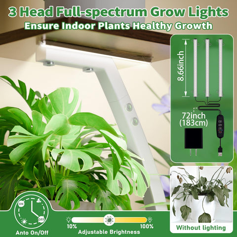 CODACE lighted plant stand enhances room ambiance and display.