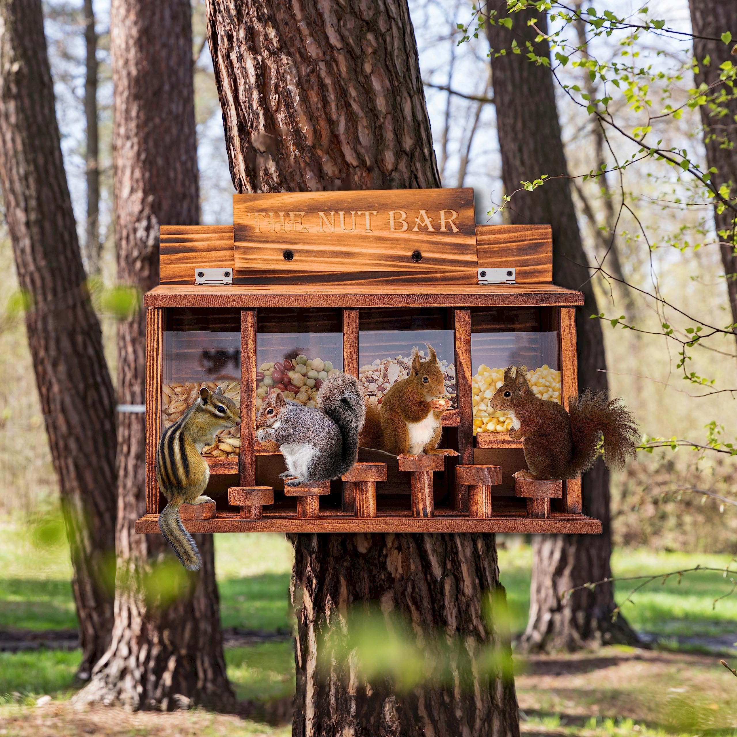 CODIN Squirrel Feeder Table 16-inch width supports multiple visitors.