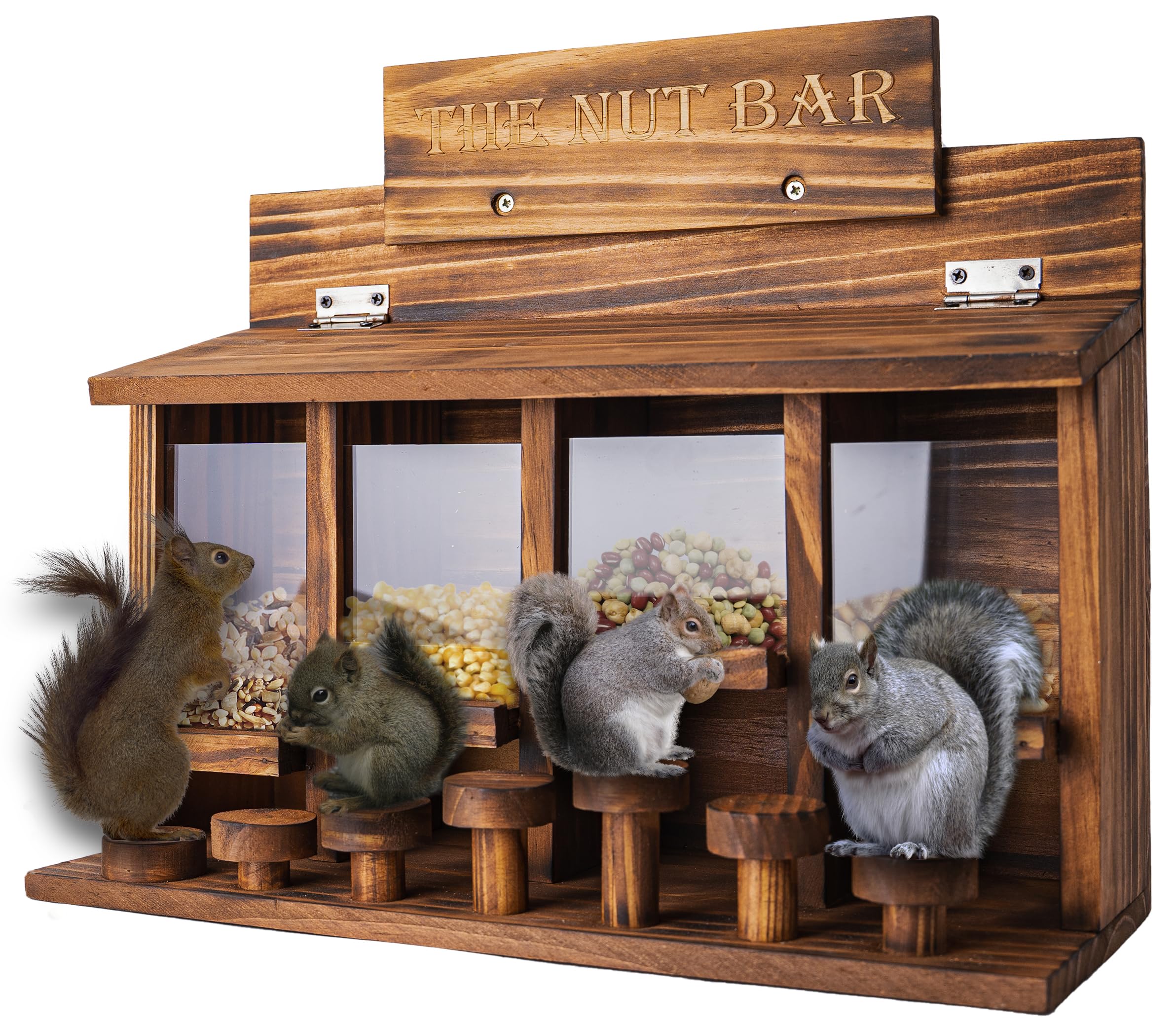 CODIN Squirrel Feeder Table with four seed compartments for diverse seeds.