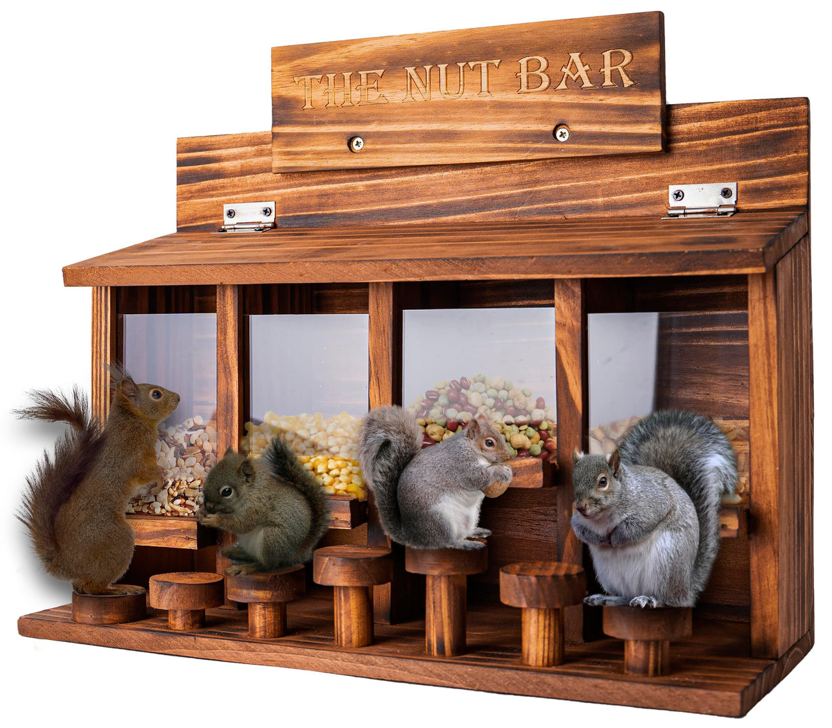 CODIN Squirrel Feeder Table with four seed compartments for diverse seeds.