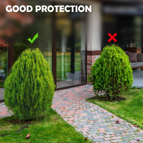 Codree easy-install cover demonstrates quick setup for irregular plant shapes