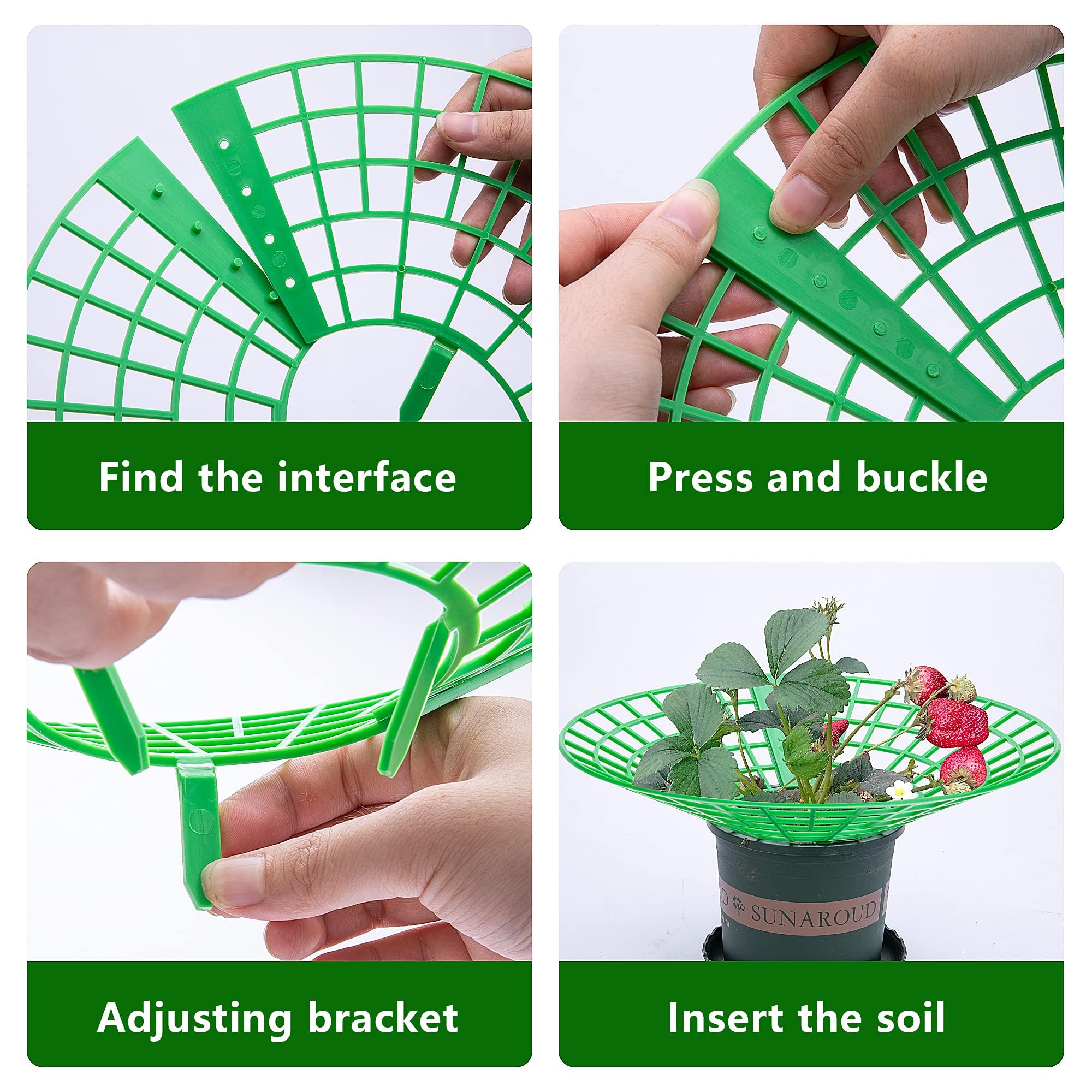 Codree elevated berry protection keeps fruit clean and reduces ground contact.