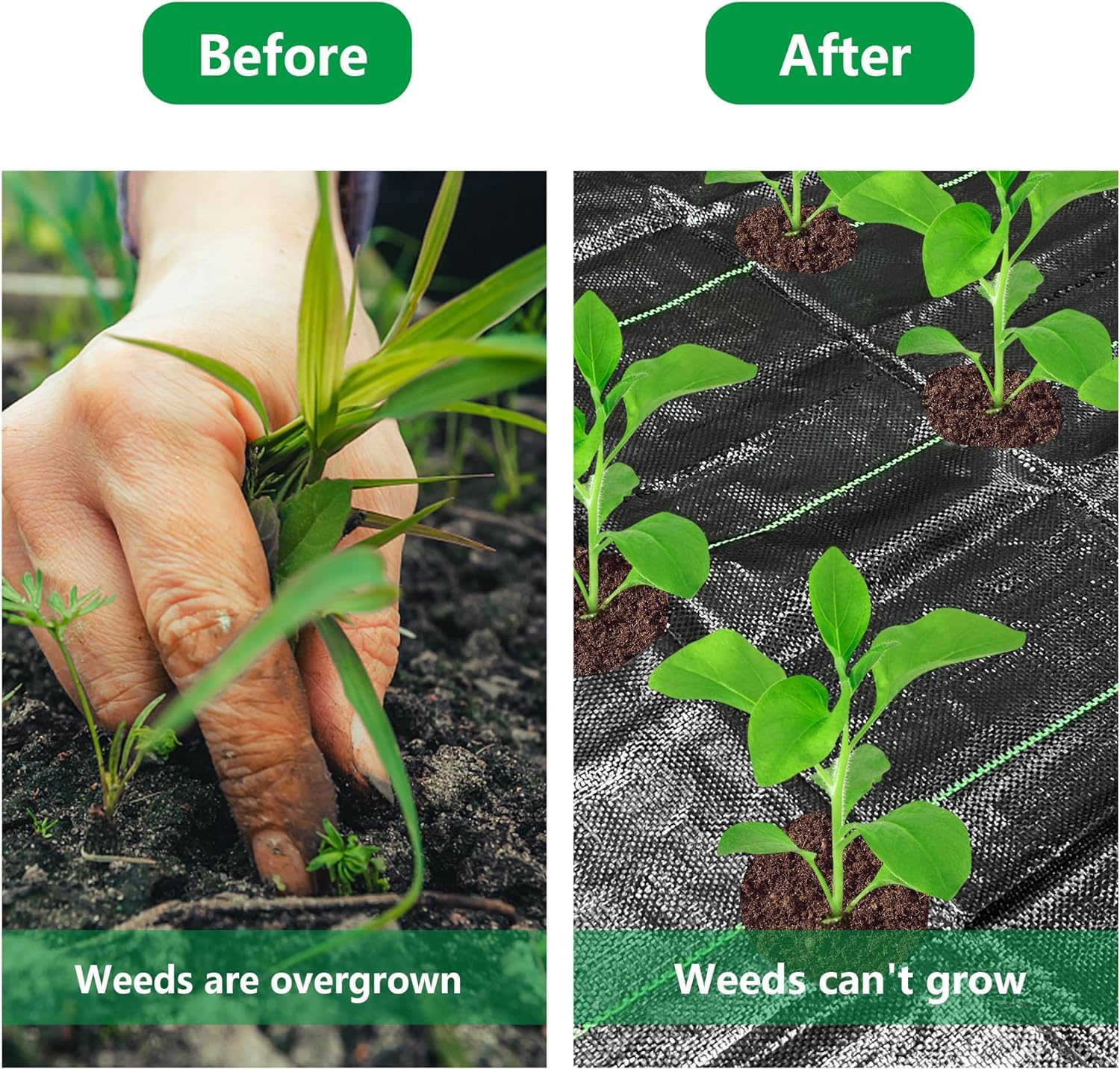 Codree garden application image shows neat rows and weed suppression.