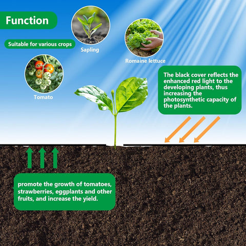 Codree barrier demonstrates soil moisture retention and temperature stability.
