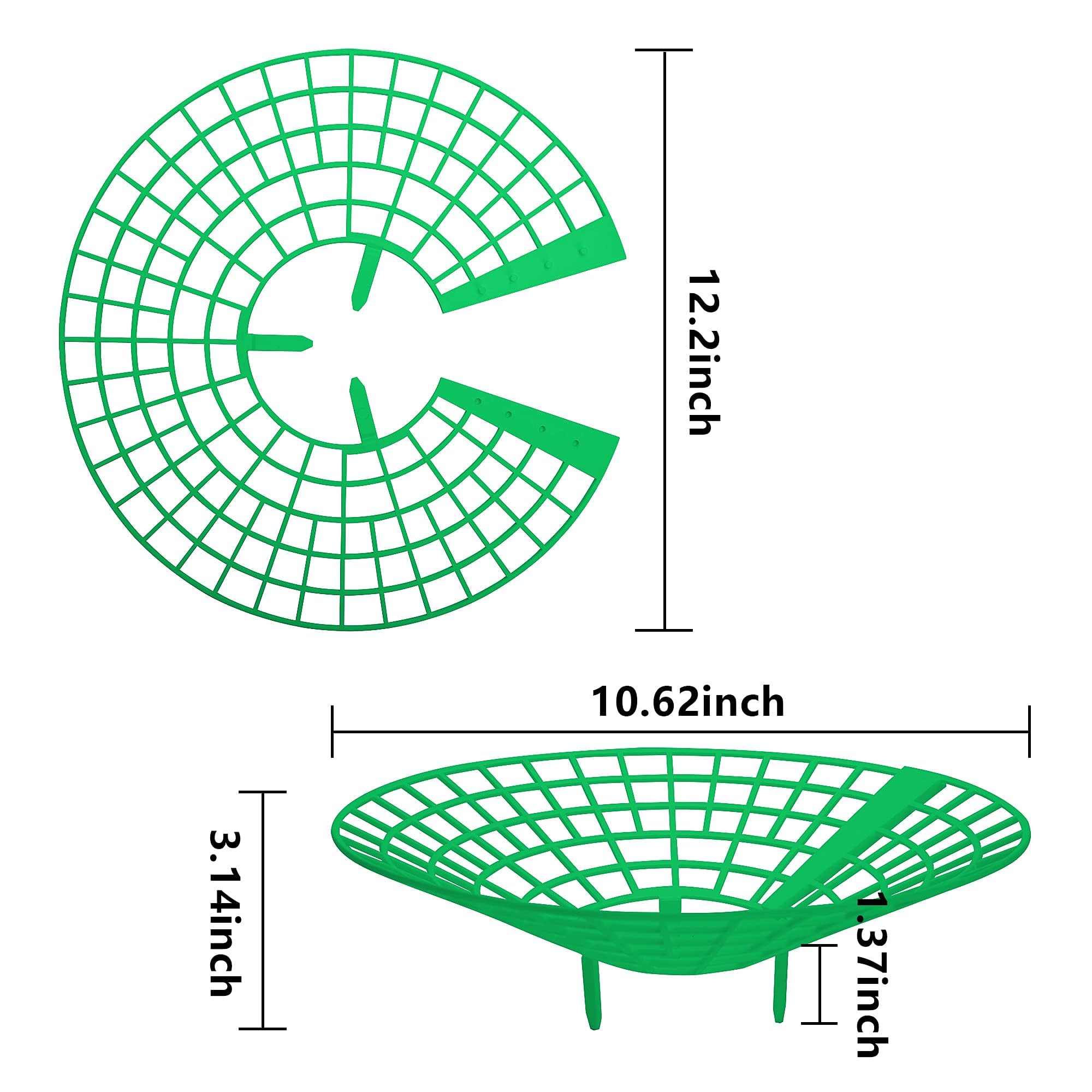 Codree strawberry growing racks keep canes off soil and improve air flow.