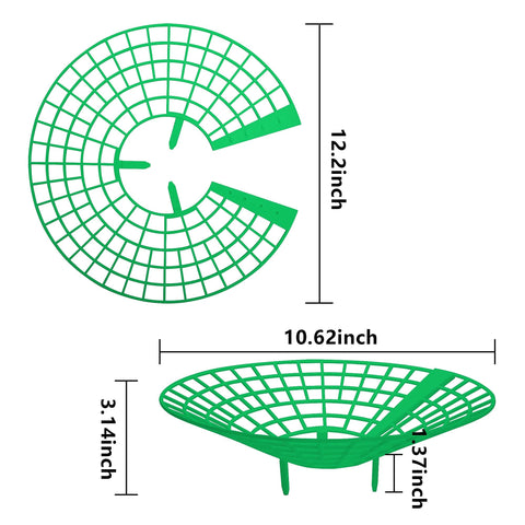Codree strawberry growing racks keep canes off soil and improve air flow.