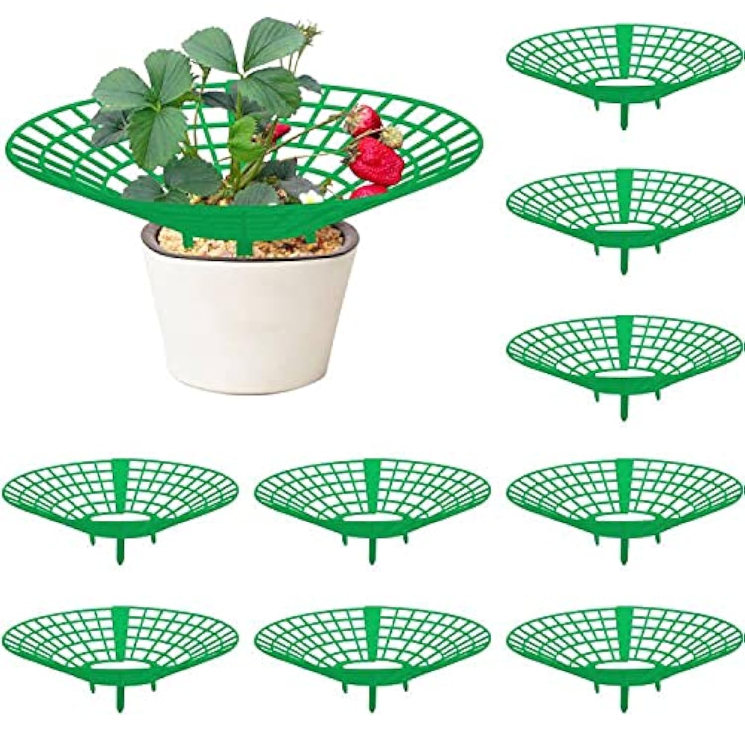 Codree strawberry plant supports 10-pack provide sturdy, organized support for your strawberry plants.