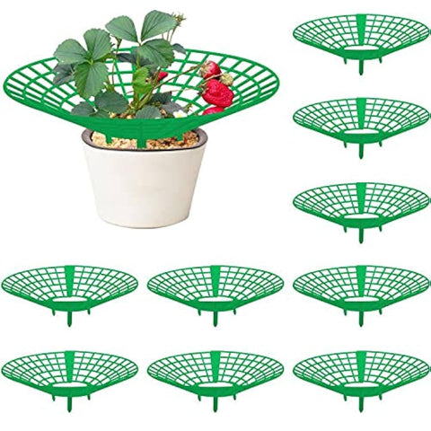 Codree strawberry plant supports 10-pack provide sturdy, organized support for your strawberry plants.