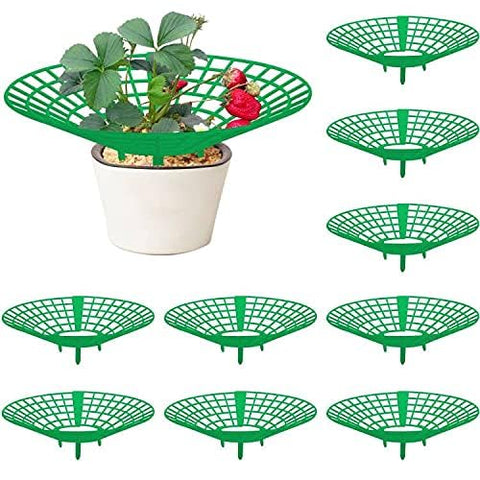 Codree strawberry stand 3-leg design secures plants safely while saving space.