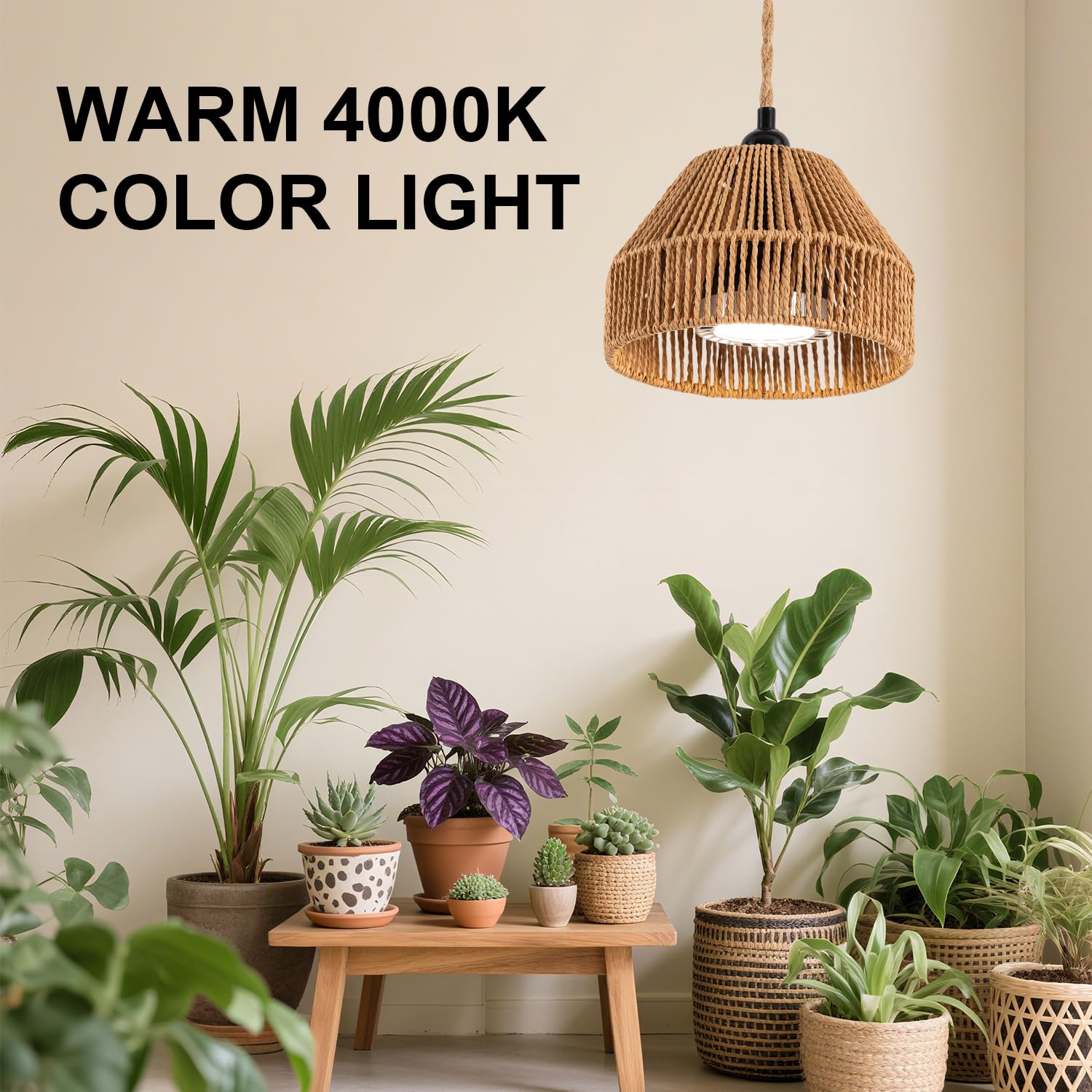 Cofiveevo 110V plug setup for easy home installation