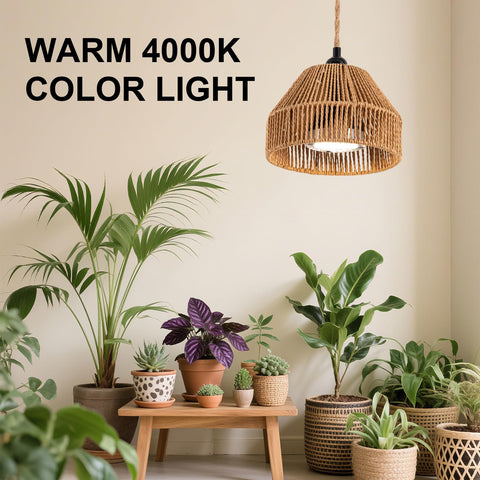 Cofiveevo 110V plug setup for easy home installation