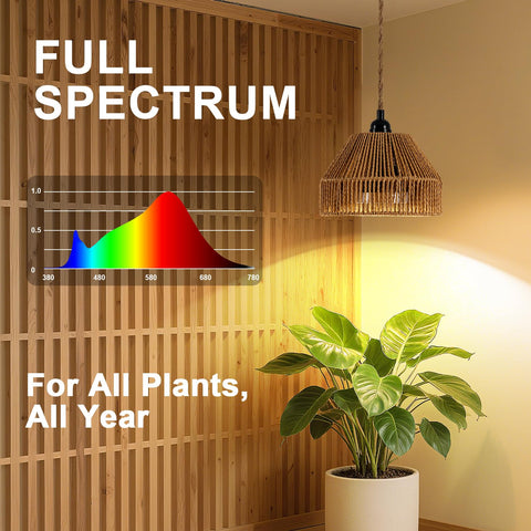 Cofiveevo 24-hour timer loop enabling automated daily light cycles