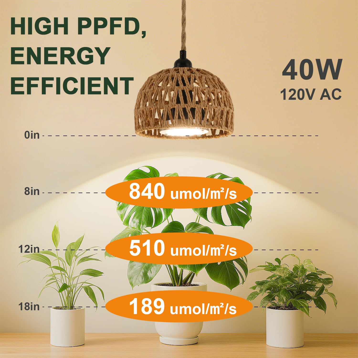 Cofiveevo full-spectrum 4000K light renders colors accurately for plants