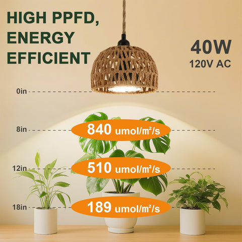 Cofiveevo full-spectrum 4000K light renders colors accurately for plants