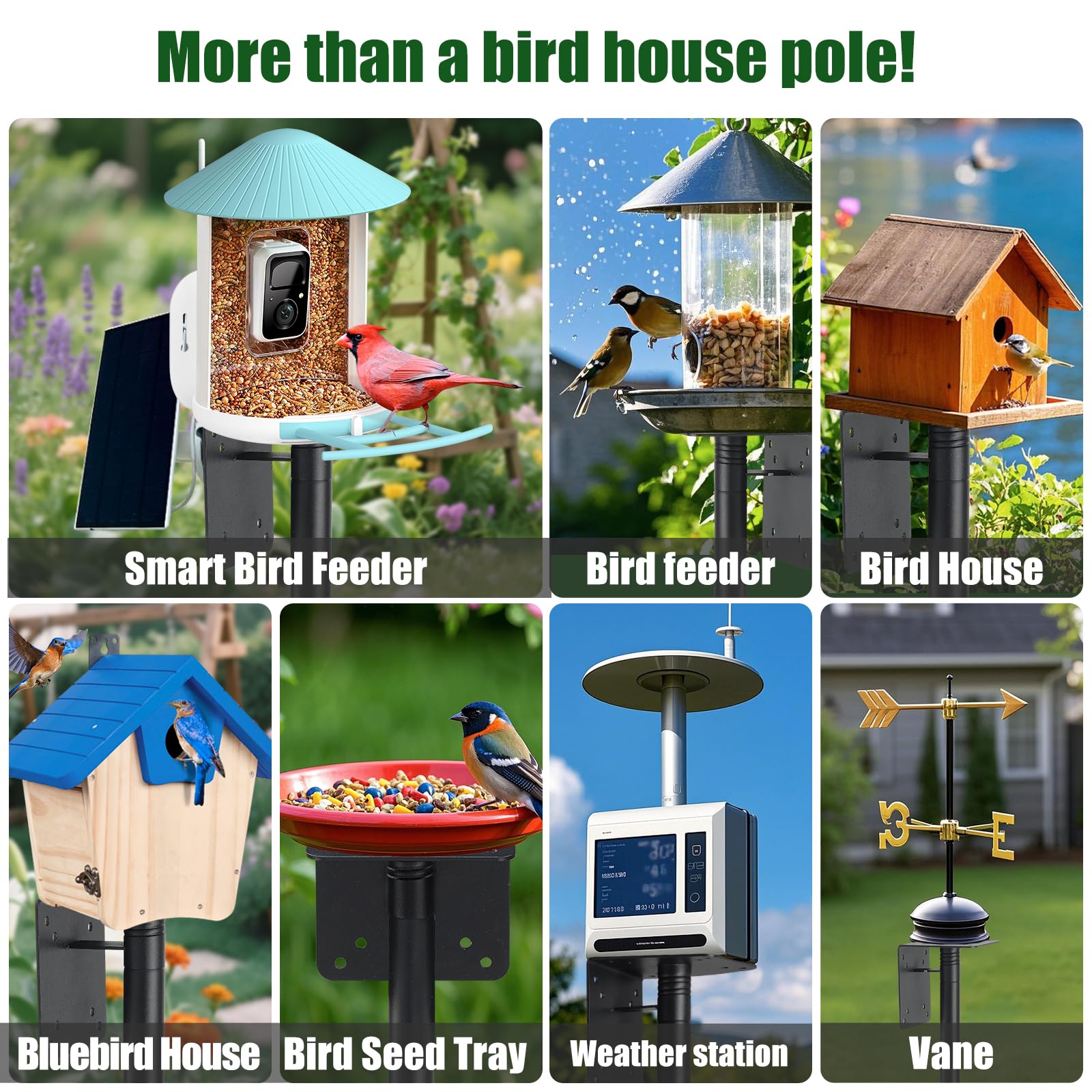 Cogardenshower one pole supports birdhouse, feeder, camera, or solar panel