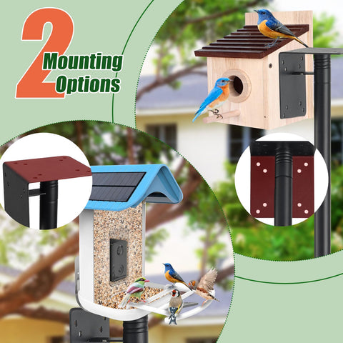 Cogardenshower top side mount supports feeders and cameras for versatile observing.