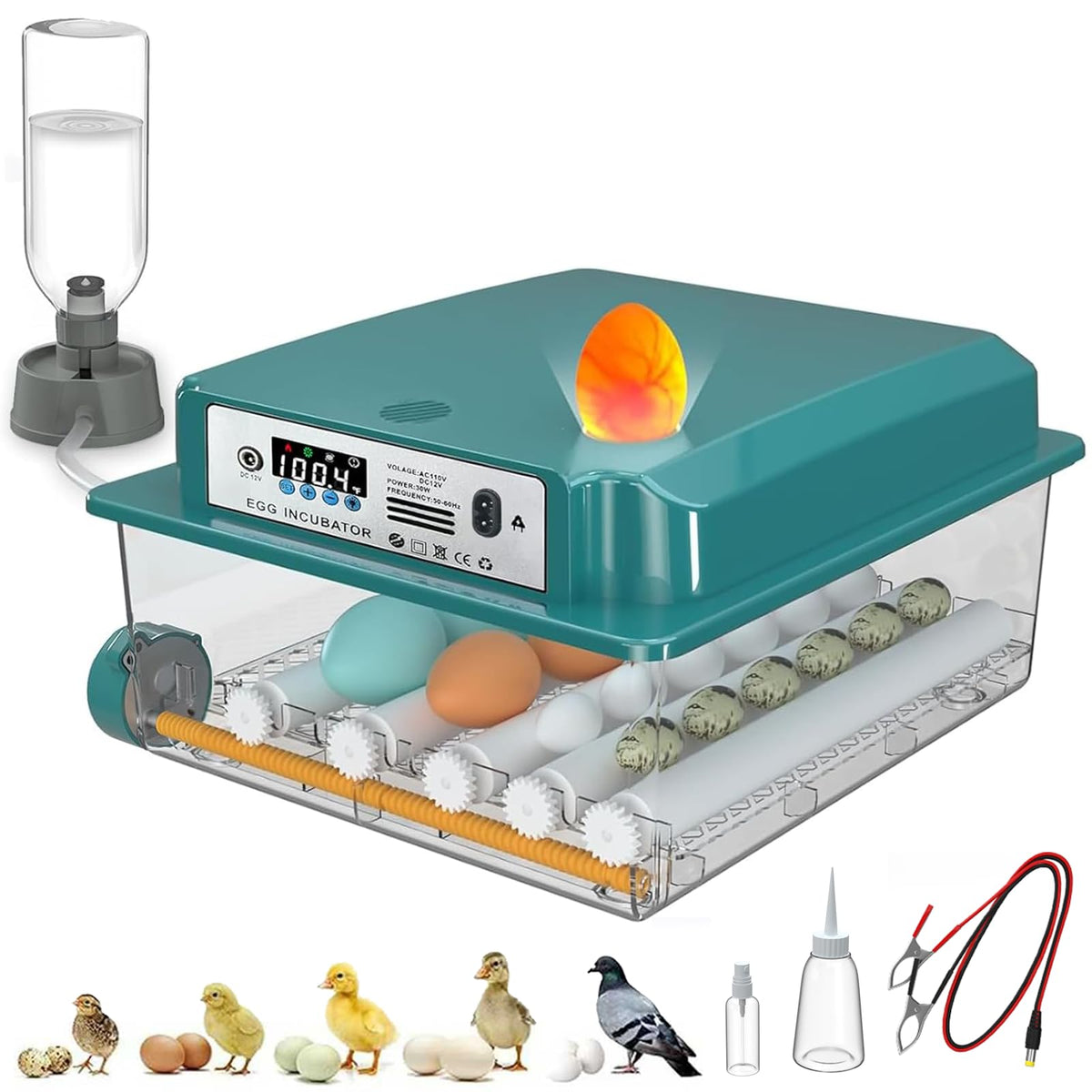 CoInceptus 16-egg incubator with adjustable roller spacing for diverse eggs.