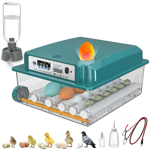 CoInceptus 16-egg incubator with adjustable roller spacing for diverse eggs.