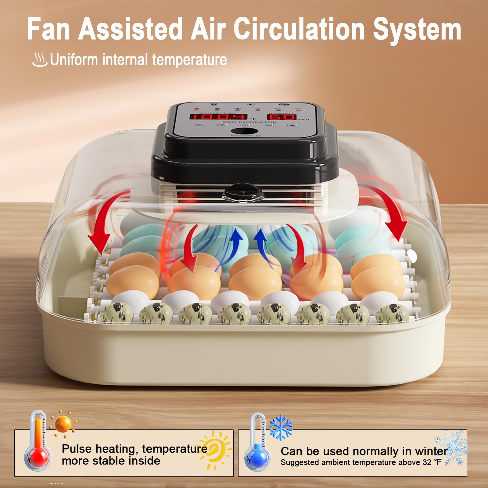 CoInceptus 35 Eggs Incubator 360-view enables easy monitoring of the hatch process.