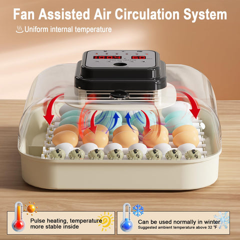 CoInceptus 35 Eggs Incubator 360-view enables easy monitoring of the hatch process.