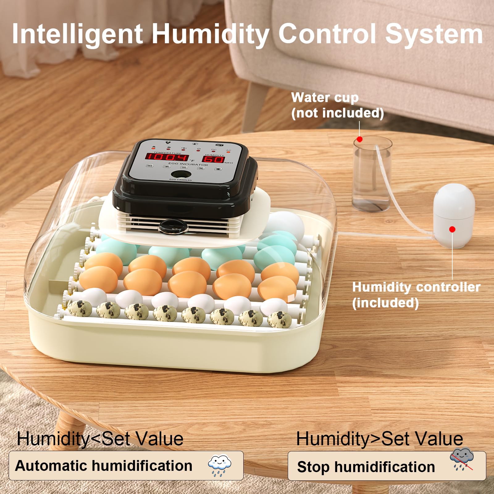 CoInceptus 35 Eggs Incubator automatic-turning demonstrates hands-off management during incubation.