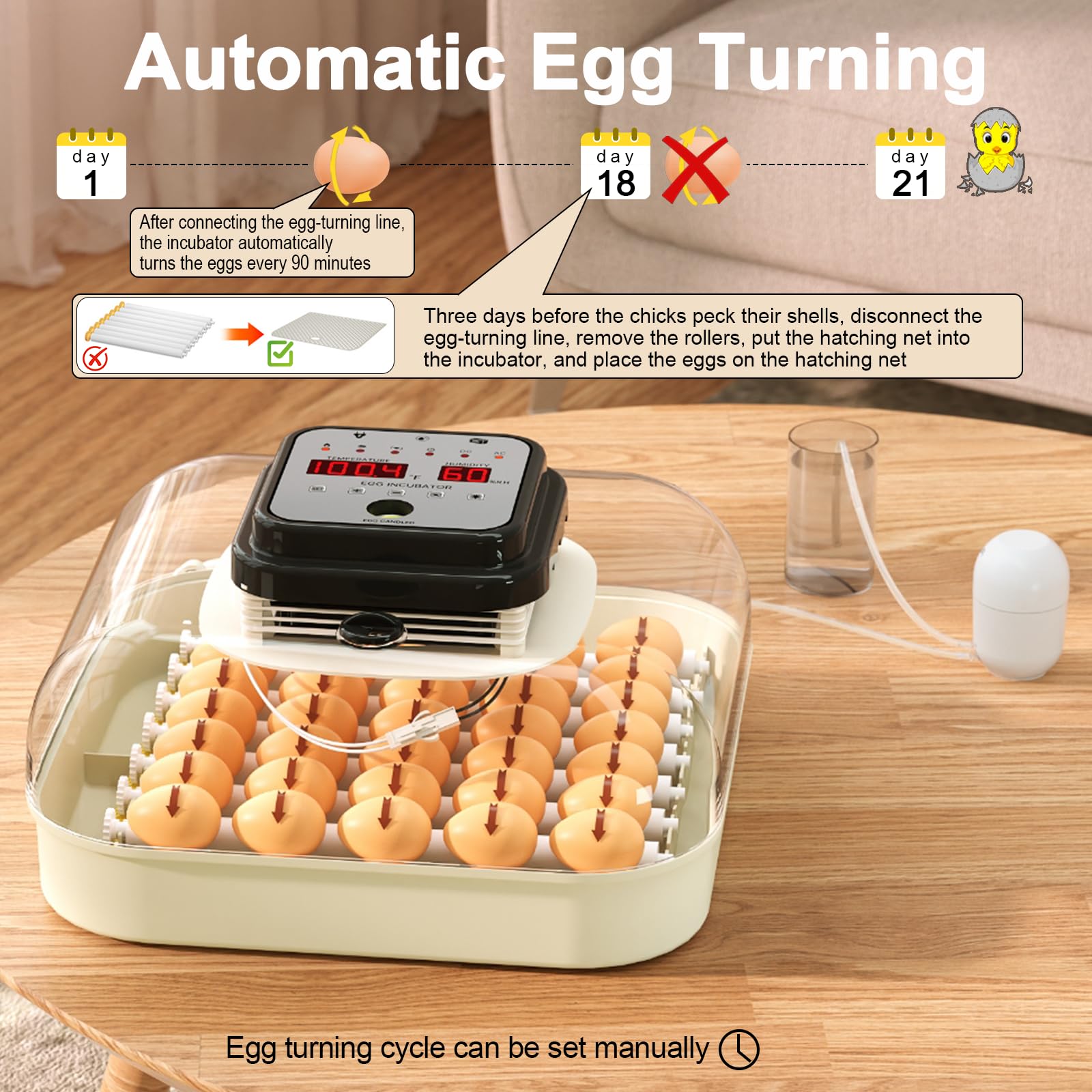 CoInceptus 35 Eggs Incubator built-in-candler supports quick checks without opening lid.