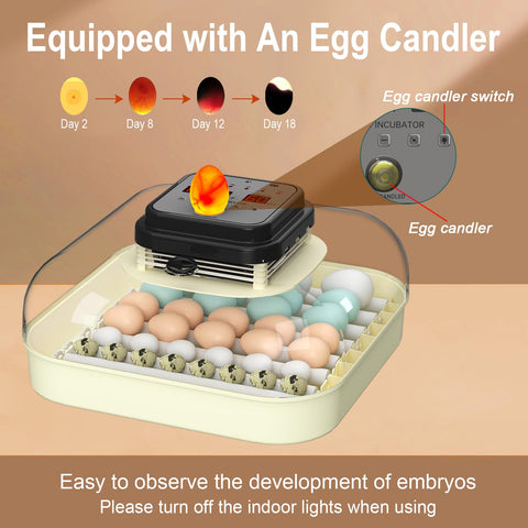 CoInceptus 35 Eggs Incubator compact dimensions fit homes, classrooms, and farms.