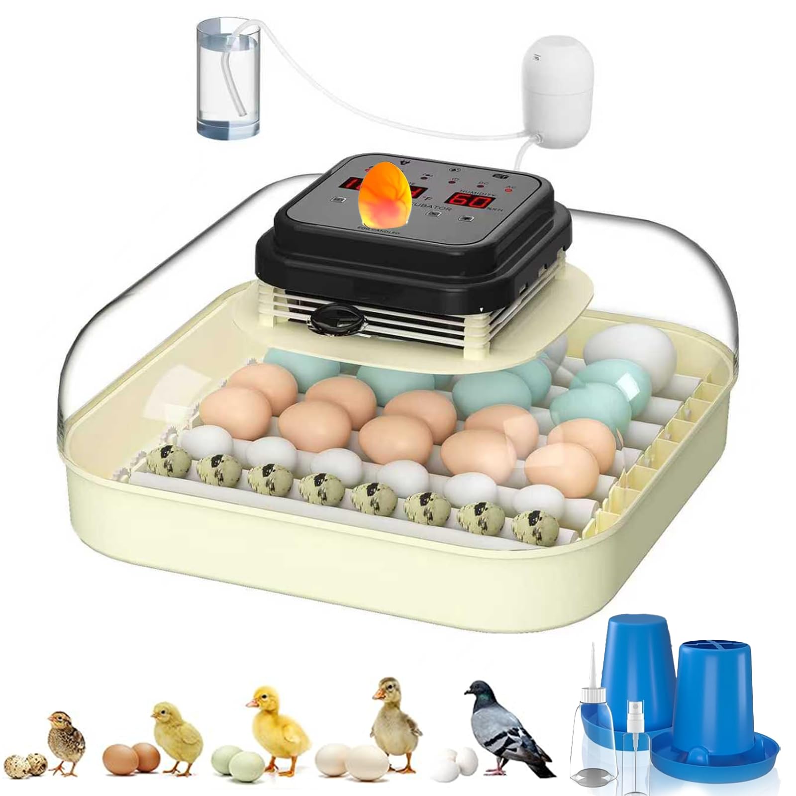 CoInceptus 35 Eggs Incubator front view, compact home-friendly design for hobbyists.