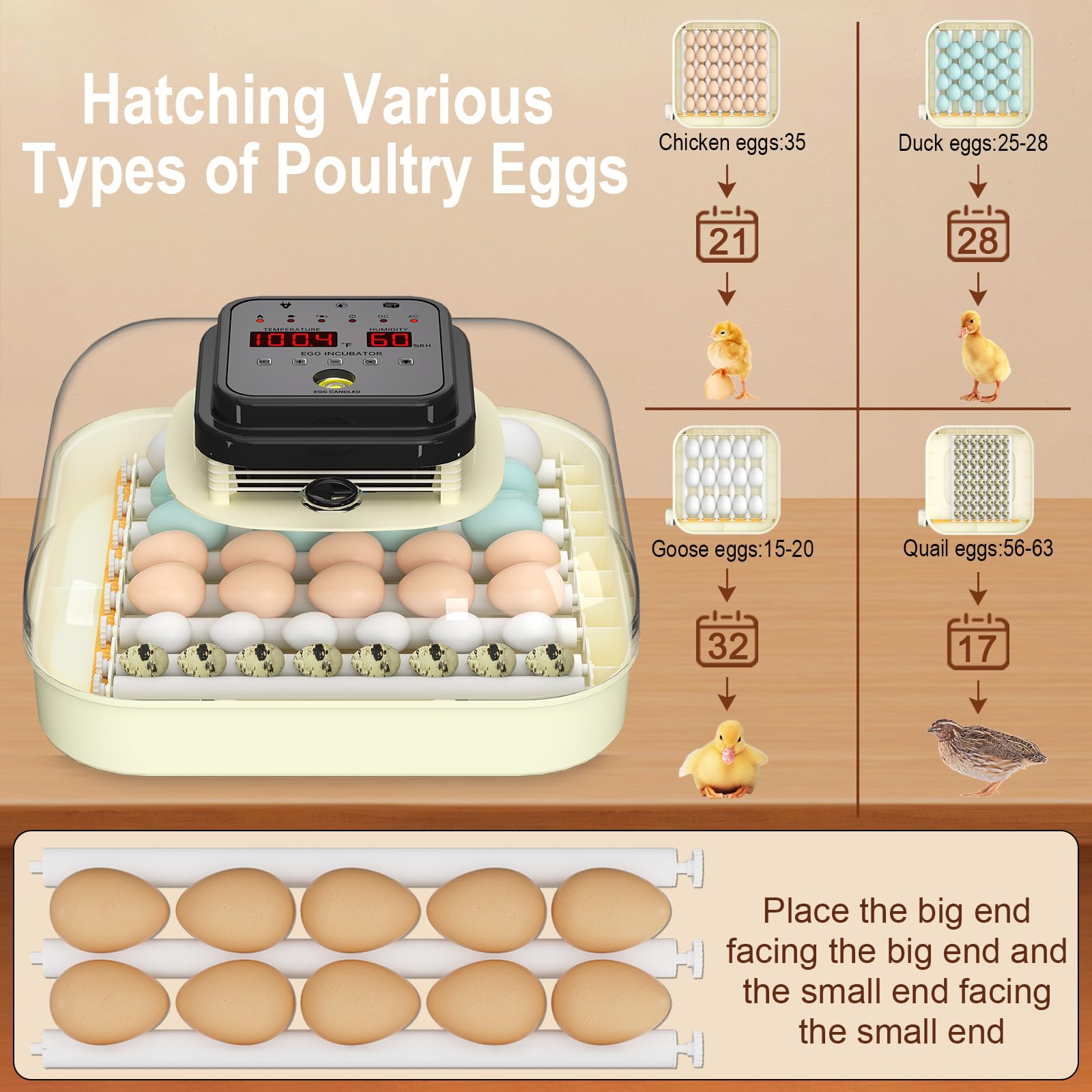 CoInceptus 35 Eggs Incubator humidity-control panel maintains steady humidity for eggs.