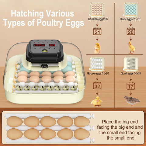 CoInceptus 35 Eggs Incubator humidity-control panel maintains steady humidity for eggs.