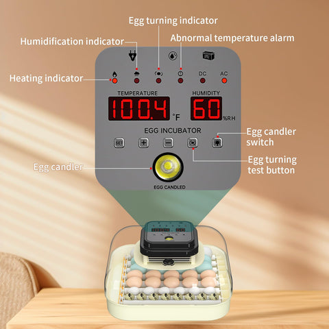 CoInceptus 35 Eggs Incubator multi-poultry use with versatile design.