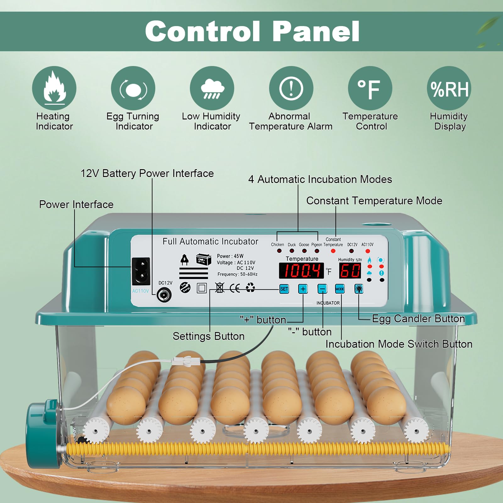 CoInceptus 36 eggs incubator illustrating adjustable rollers for different egg sizes.