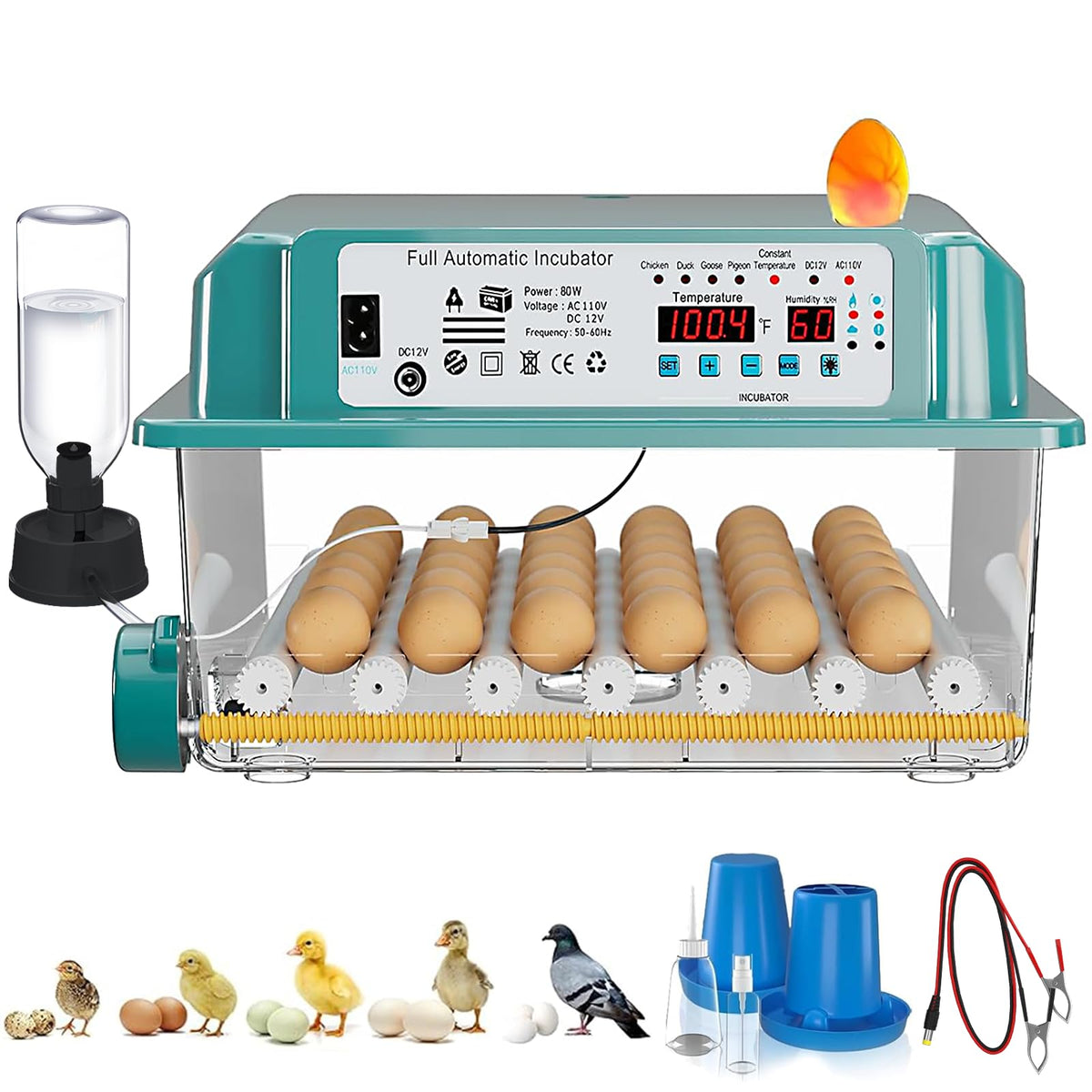 CoInceptus 36 eggs incubator with automatic turning enables steady hatch preparation.