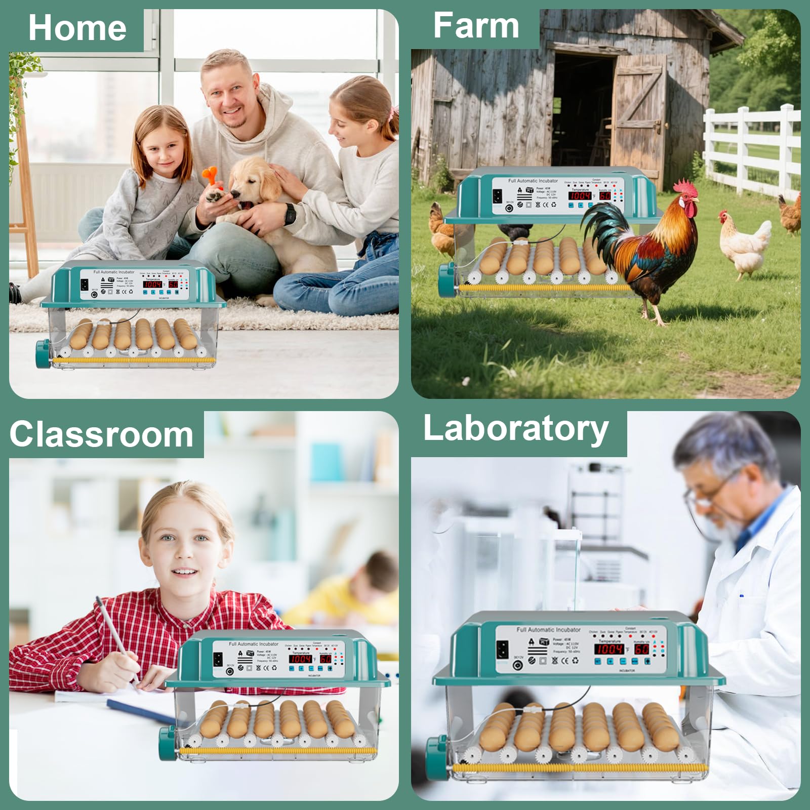 CoInceptus 36 eggs incubator featuring compact design for small spaces.