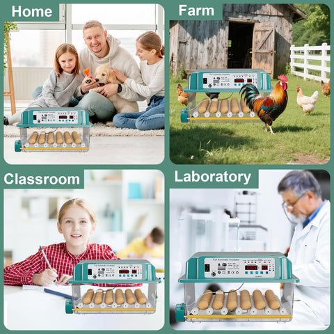 CoInceptus 36 eggs incubator featuring compact design for small spaces.