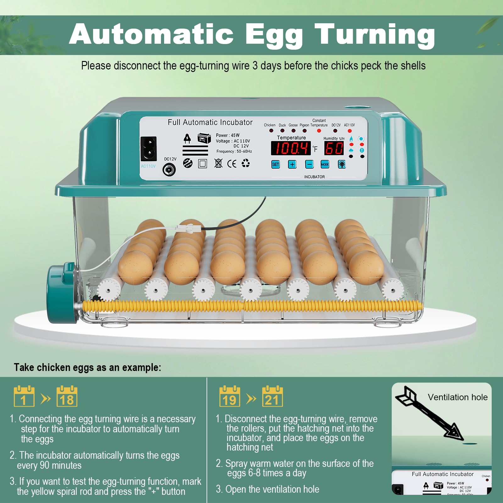 CoInceptus 36 eggs incubator with built‑in egg candling feature.