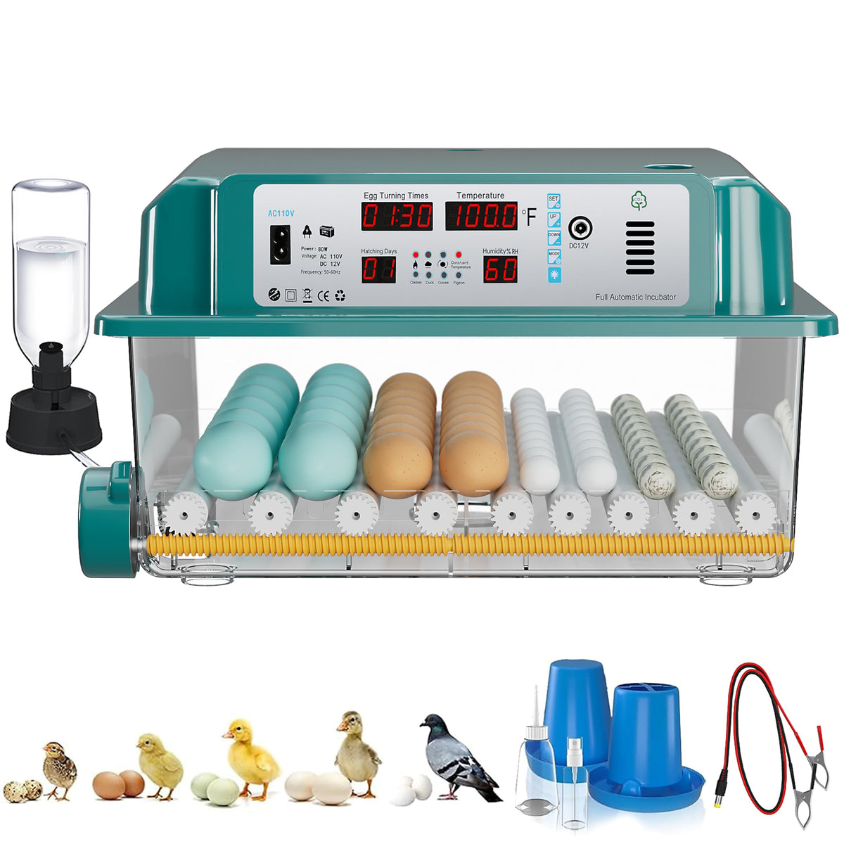 CoInceptus 64-egg incubator front view with auto turning for even embryo development.