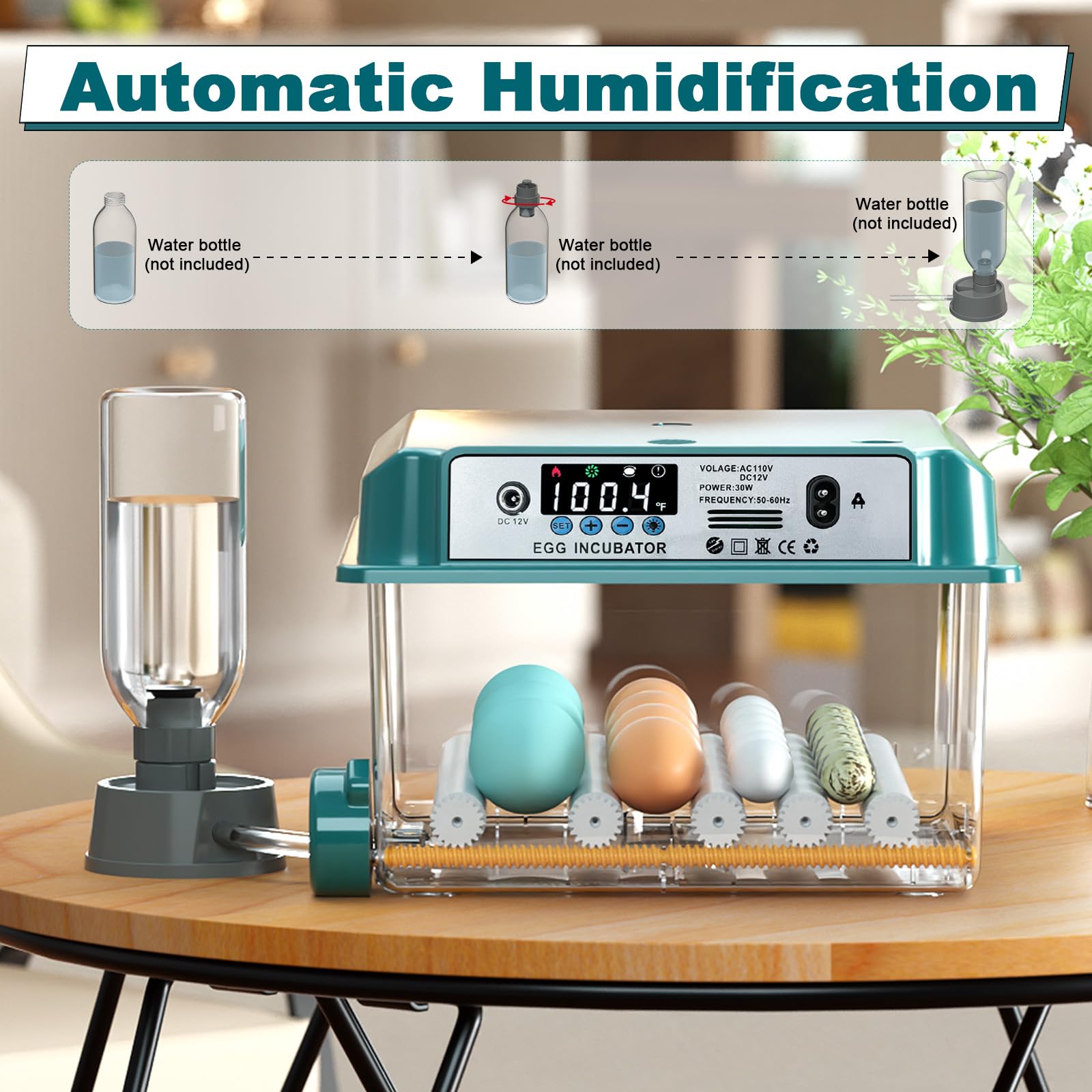 CoInceptus adjustable roller spacing adapts to different egg sizes and shapes.