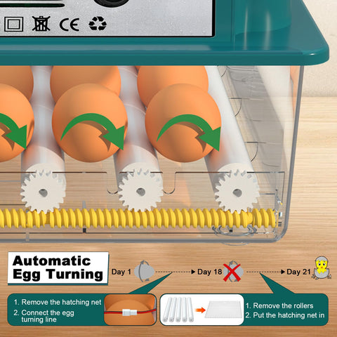 CoInceptus automatic humidification keeps steady moisture during incubation.