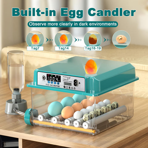 CoInceptus dual-power compatibility supports 110V and 12V operation.