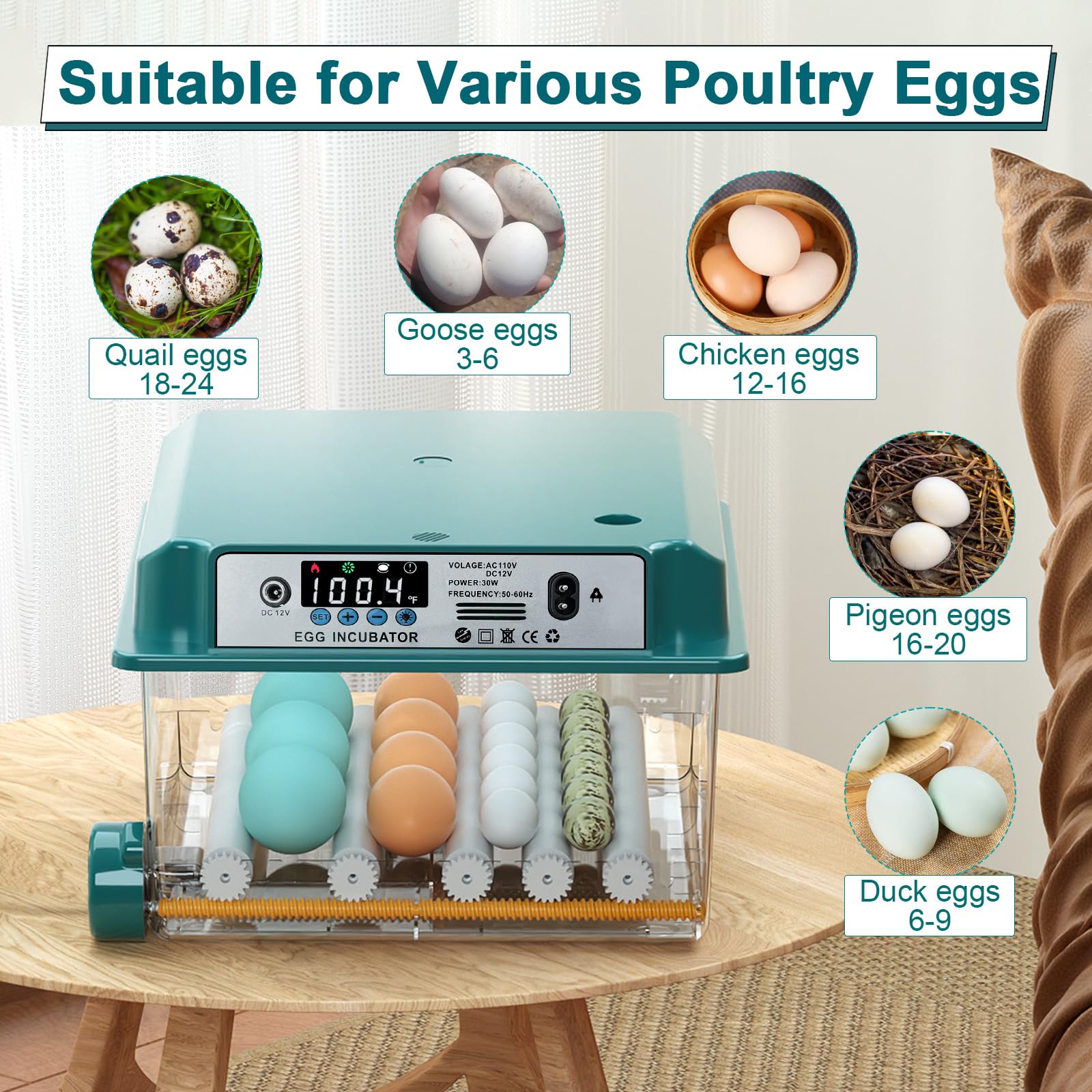 CoInceptus temperature control maintains safe incubation between 68 and 104 °F.