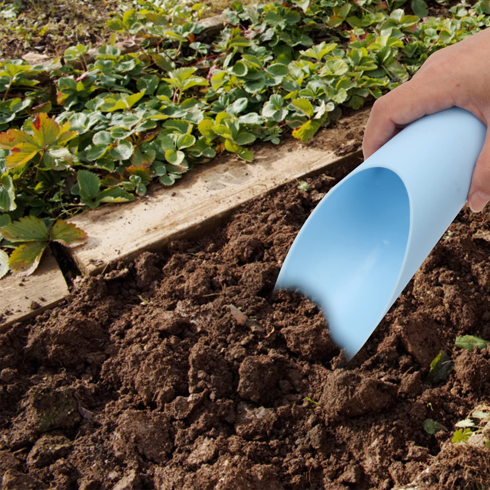 Coitak flat-bottom design keeps scoops upright for storage