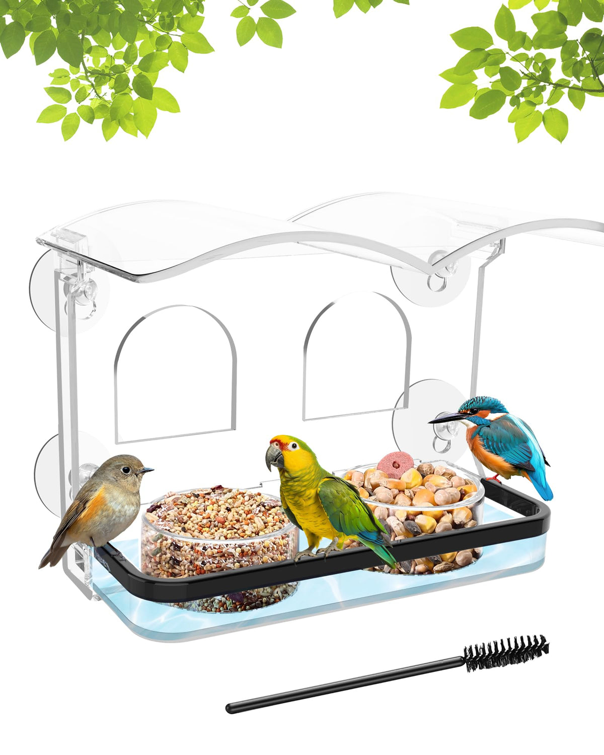 COJOSQC window bird feeder with suction cups for secure, screw-free mounting.