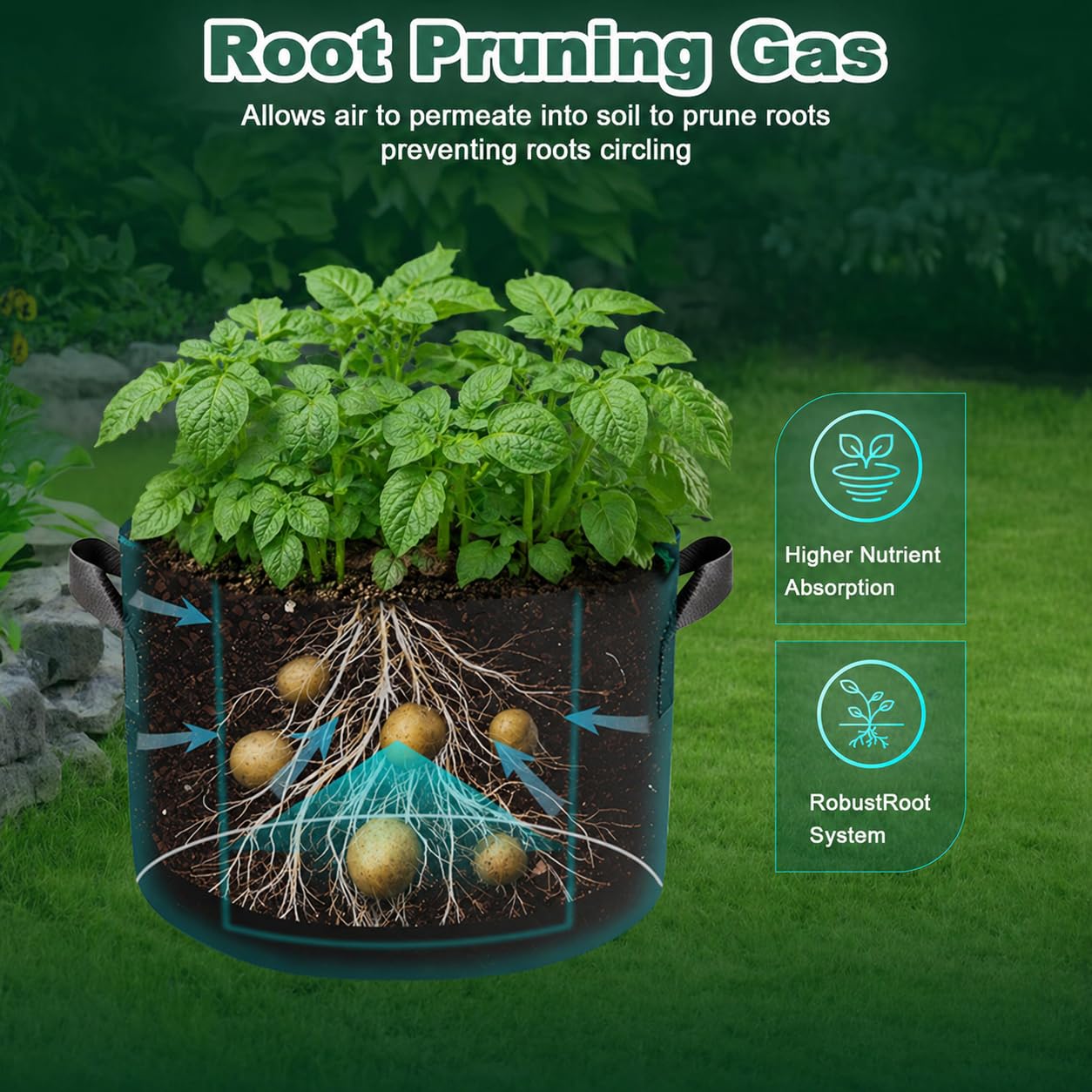 COKIELE 3-gallon bag dimensions show 9.84-inch diameter and 8.66-inch height.