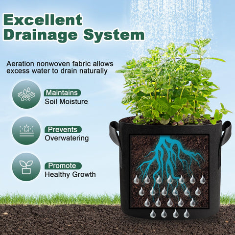 COKIELE root growth design promotes dense roots and better nutrient access.