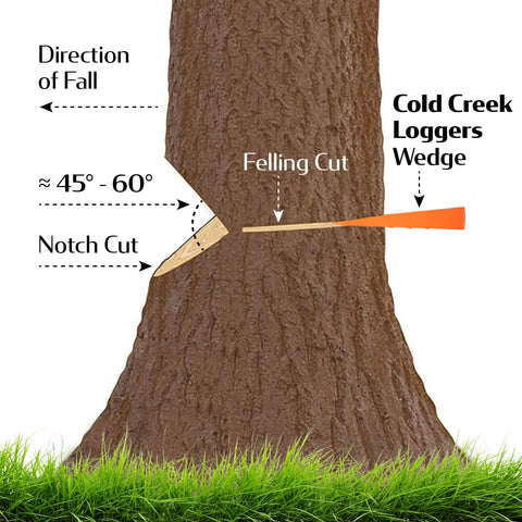 Cold Creek Loggers felling wedge 8-inch for larger trees and reliable control