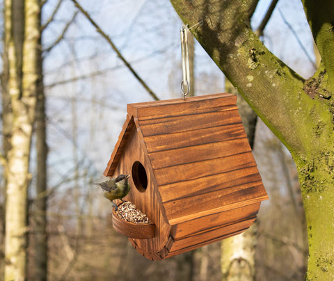 COLEBA backyard nesting houses come in a two-pack for easy monitoring.