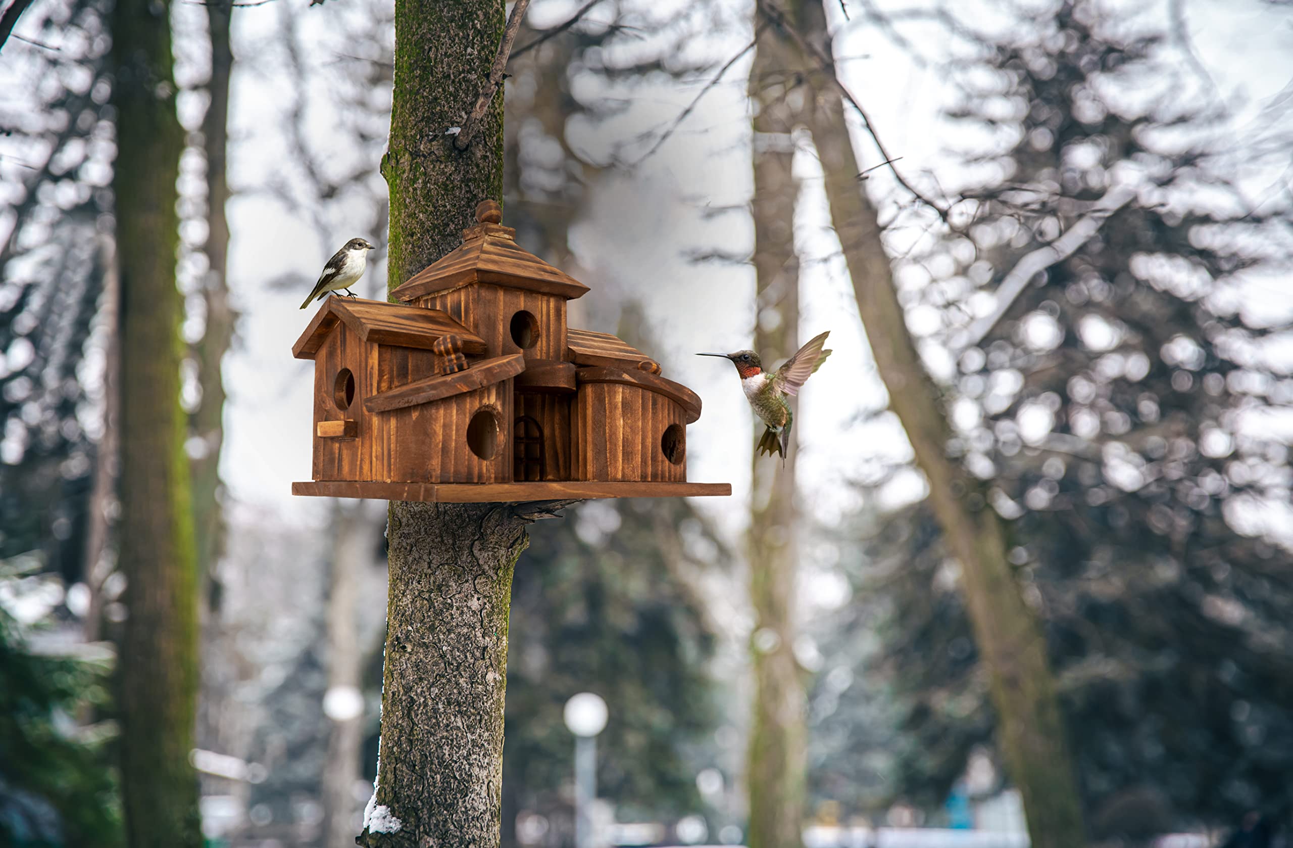 COLEBA bird house interior compartments reveal multiple chambers for visitors.